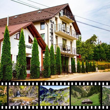 Vila Swe Sar Hotel คูร์ตา เด อาร์เจช ภายนอก รูปภาพ